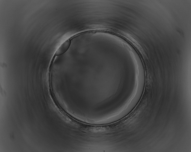 X0000090711291200708031426