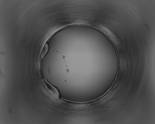 X0000090711292200708031426