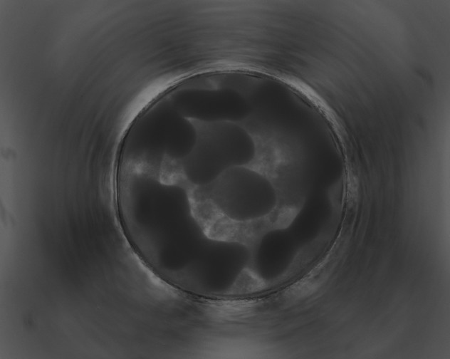 X0000090711294200708031426