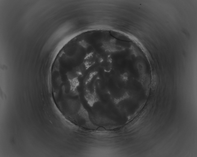 X0000090711295200708031426