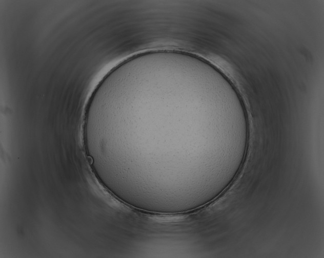 X0000090711296200708031426