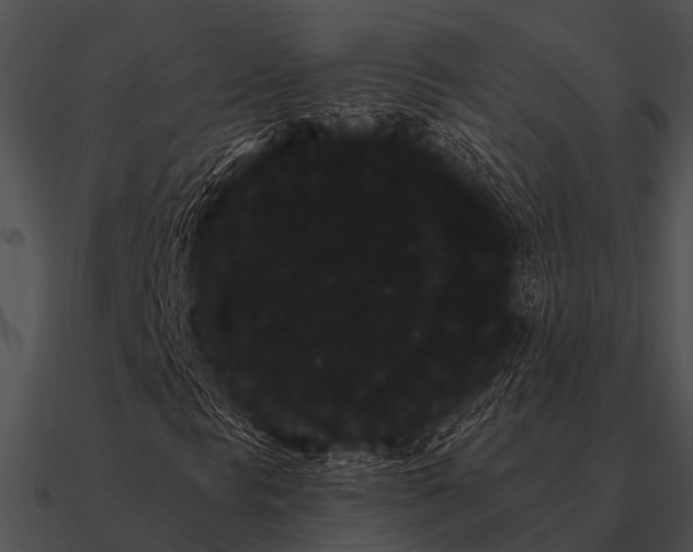 X0000090711297200708031425