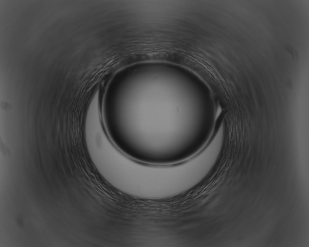 X0000090711298200708031425