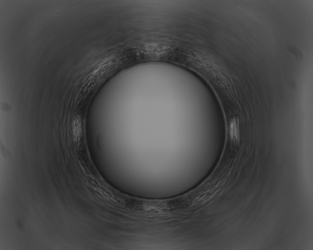 X0000090711299200708031425