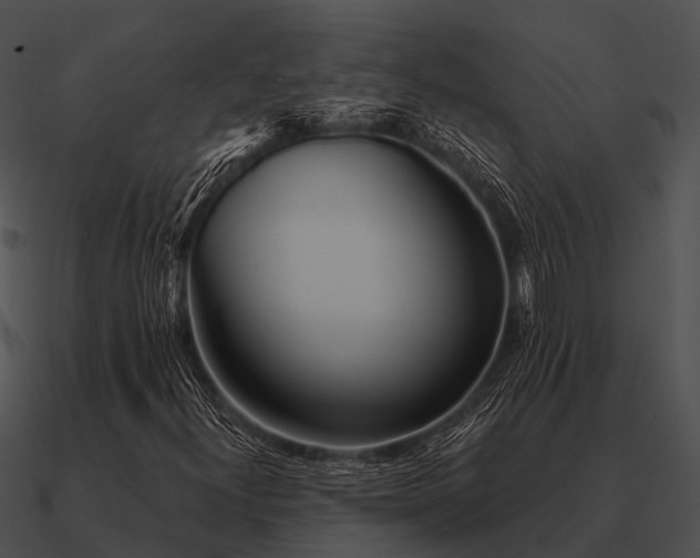 X0000090711300200708031425