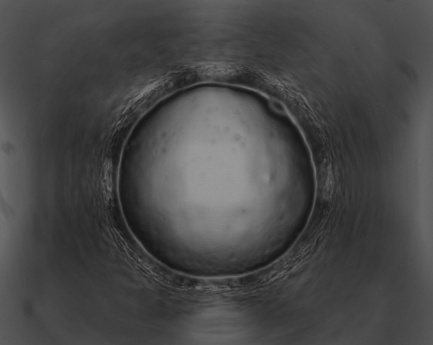 X0000090711301200708031425