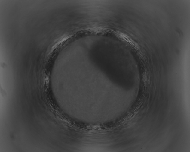 X0000090711302200708031425