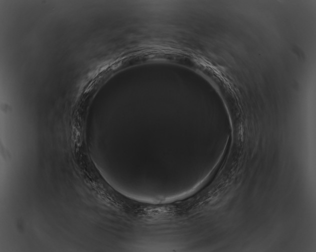 X0000090711303200708031425