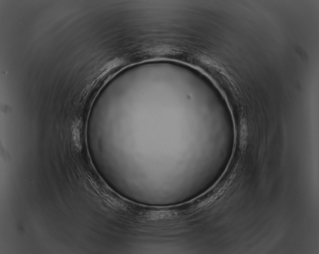 X0000090711305200708031425