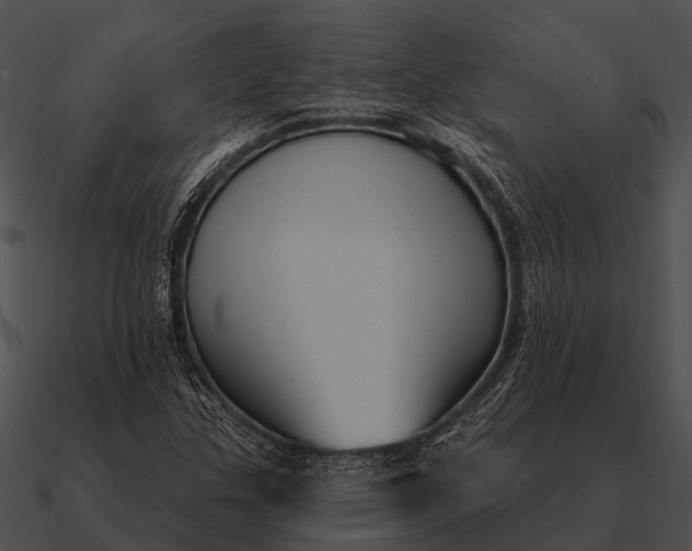 X0000090711307200708031425