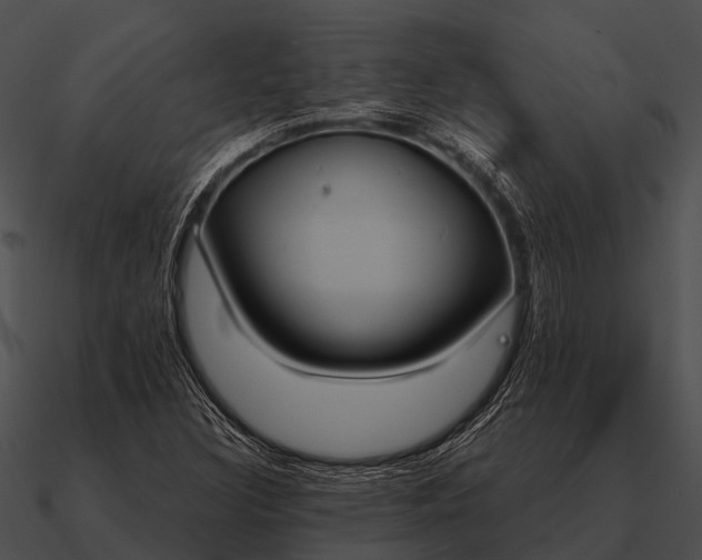 X0000090711308200708031425