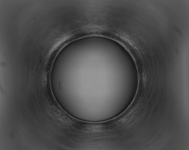 X0000090711309200708031425