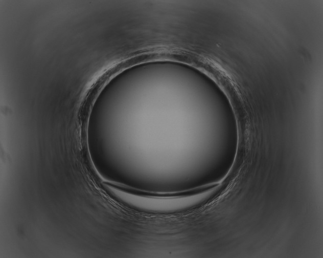 X0000090711310200708031425