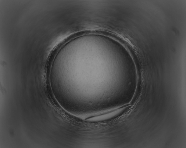 X0000090711311200708031425