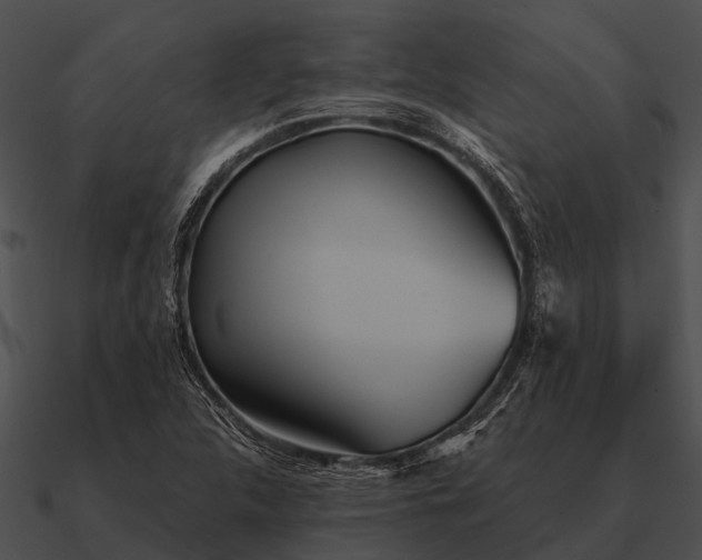 X0000090711312200708031425