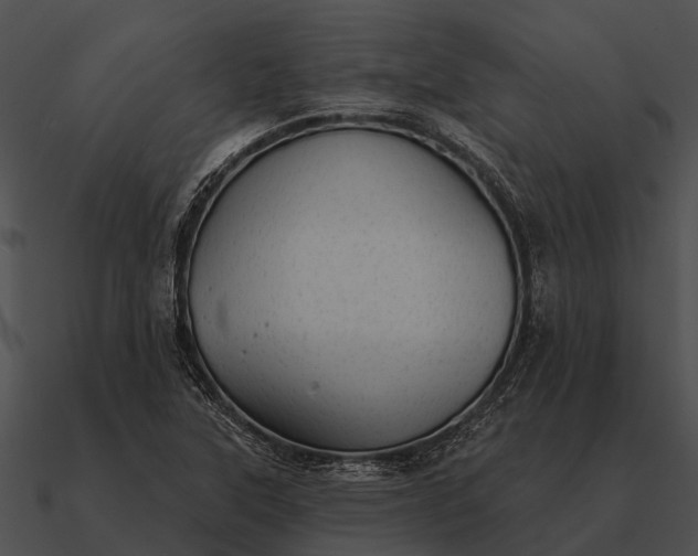 X0000090711315200708031425