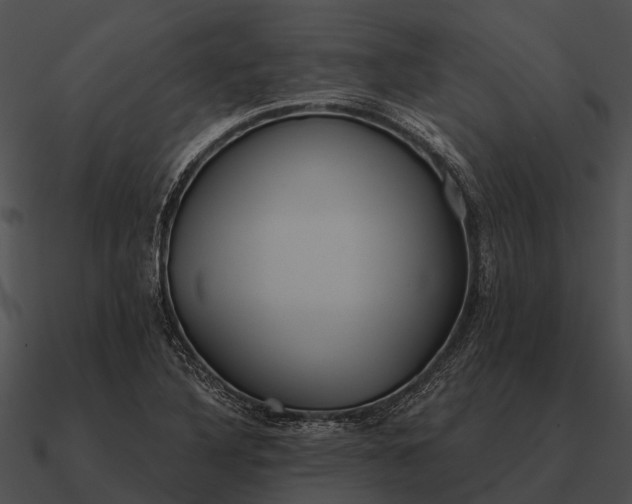 X0000090711316200708031425