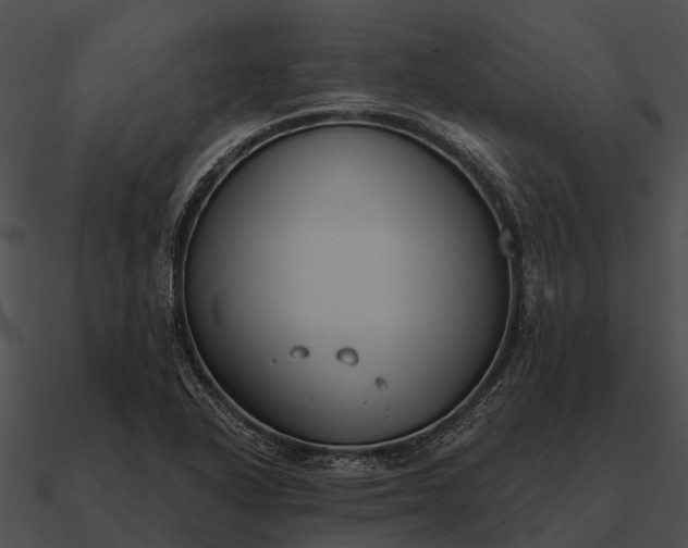 X0000090711318200708031425