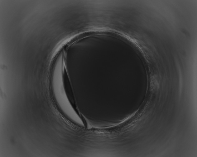 X0000090711319200708031425