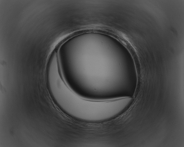 X0000090711320200708031425