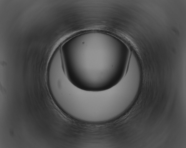 X0000090711324200708031425