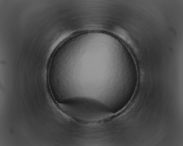 X0000090711325200708031425