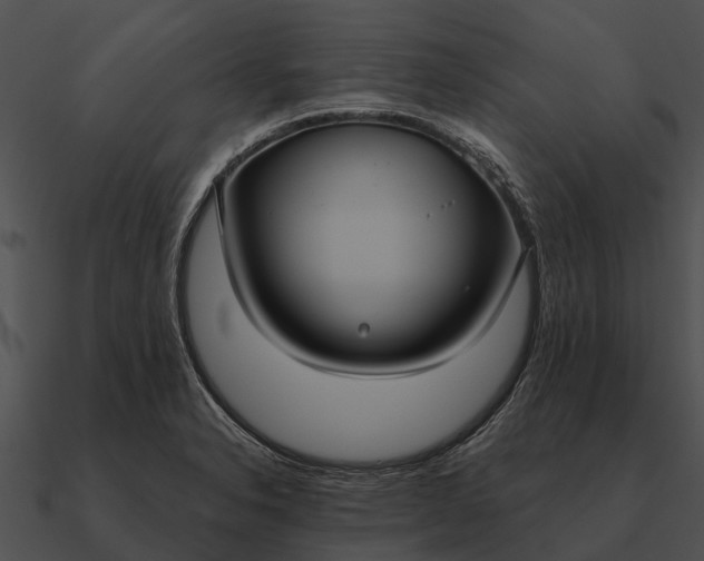 X0000090711326200708031425