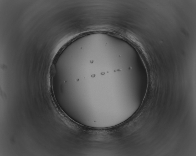 X0000090711328200708031425