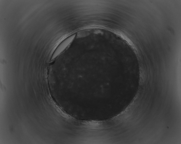 X0000090711329200708031425