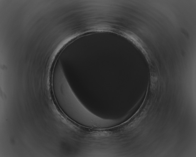 X0000090711331200708031425