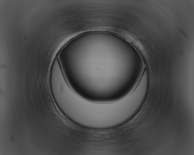 X0000090711332200708031426