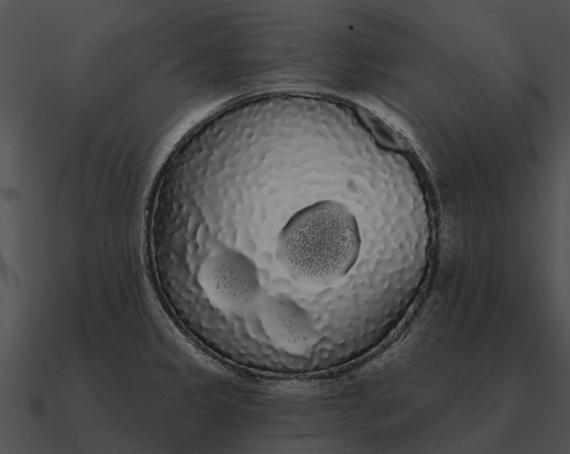 X0000090711333200708031426