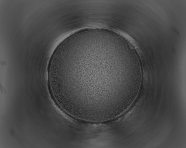 X0000090711335200708031426