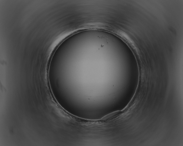 X0000090711336200708031426