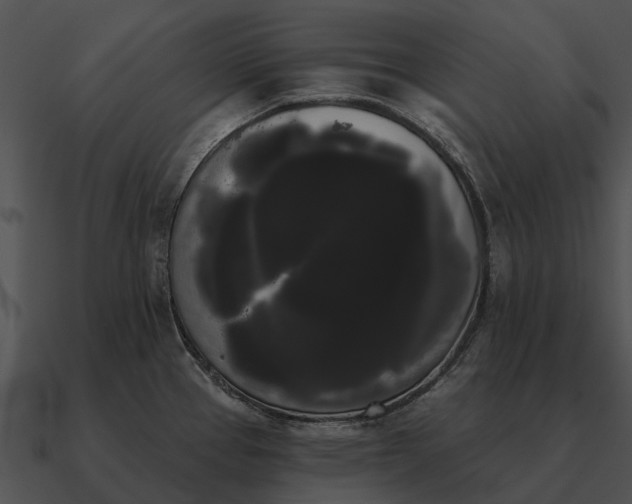 X0000090711337200708031426