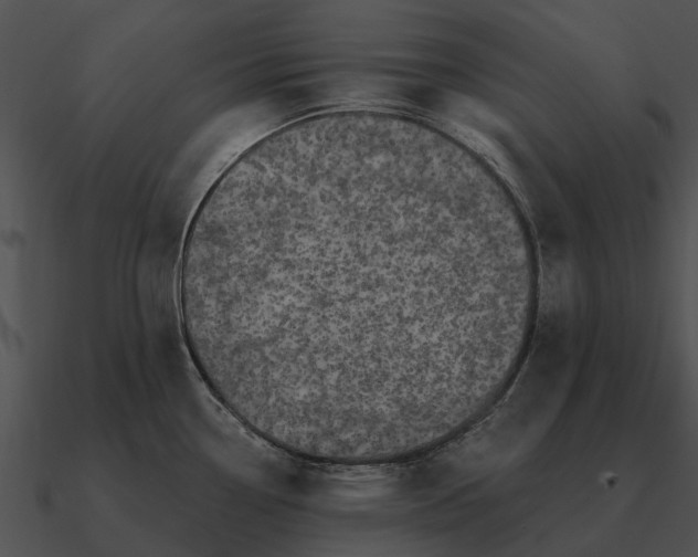 X0000090711338200708031426