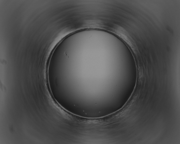 X0000090711339200708031426