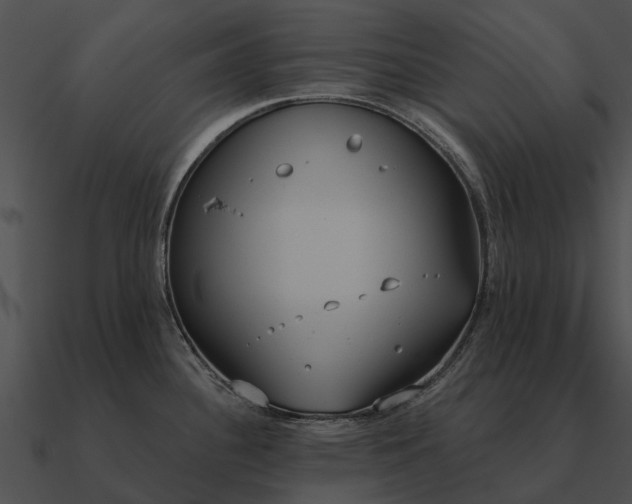 X0000090711340200708031426