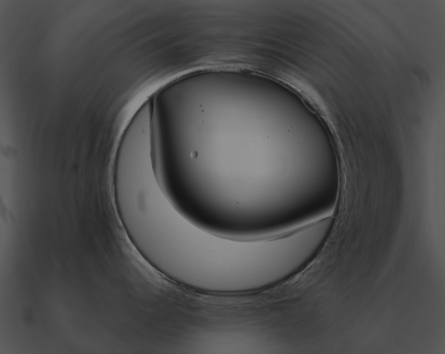 X0000090711344200708031426