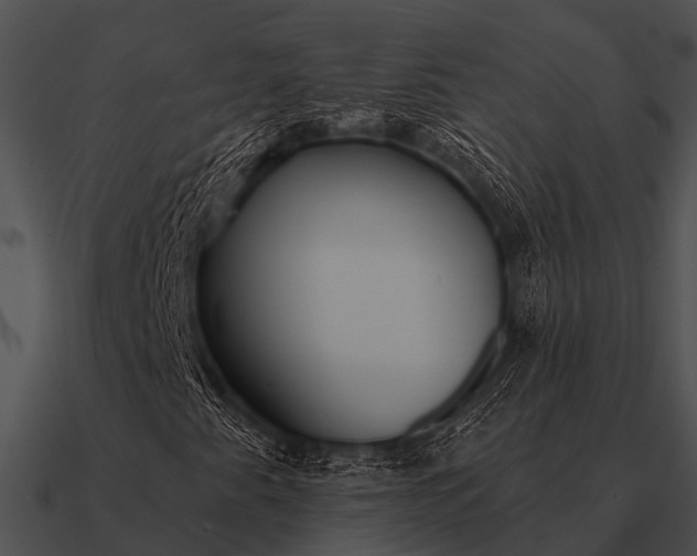 X0000090711345200708031425