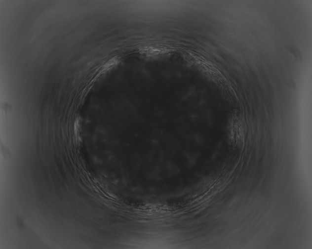 X0000090711346200708031425