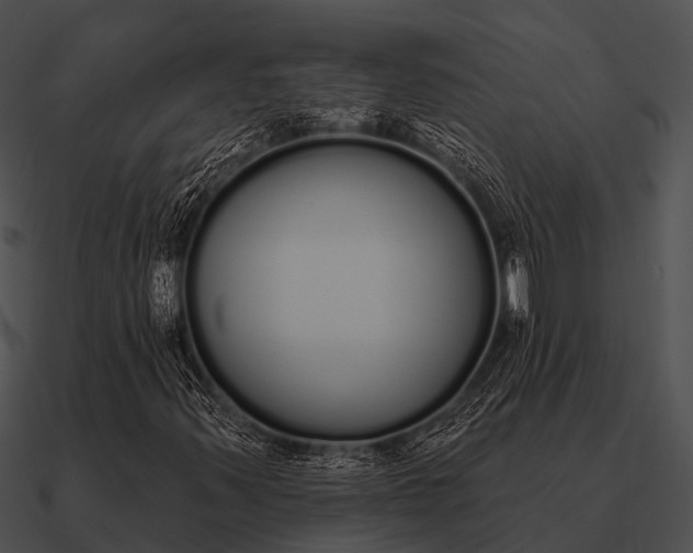 X0000090711347200708031425