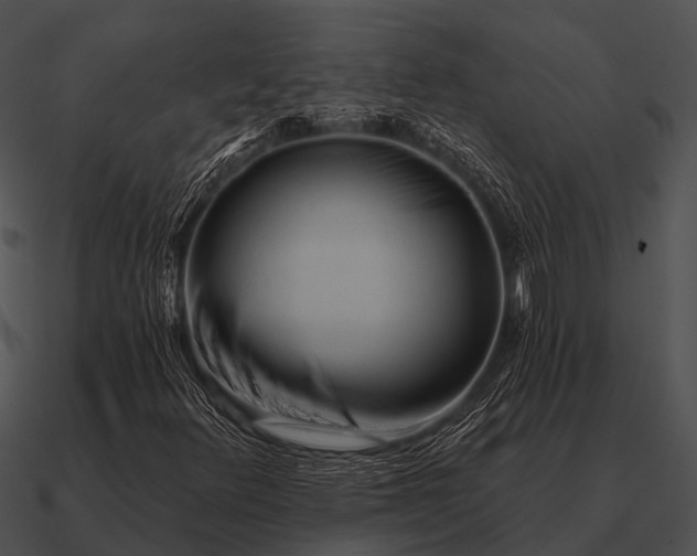 X0000090711348200708031425