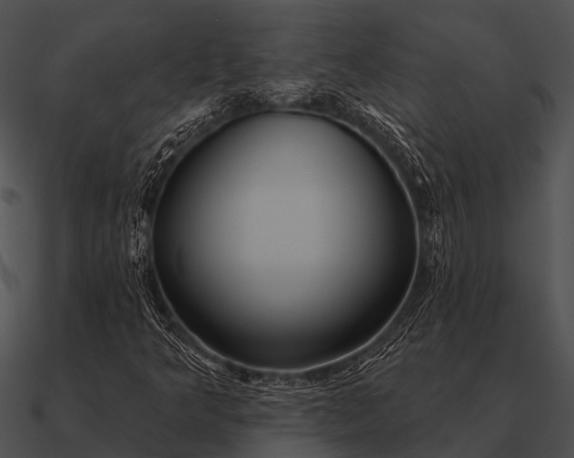 X0000090711349200708031425