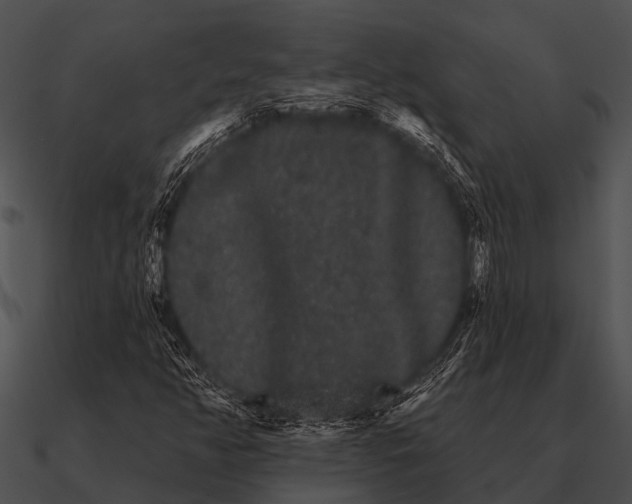 X0000090711350200708031425