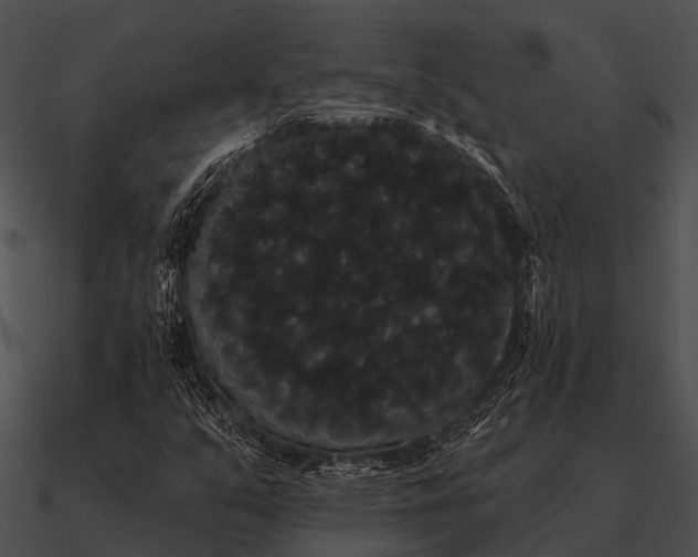 X0000090711351200708031425