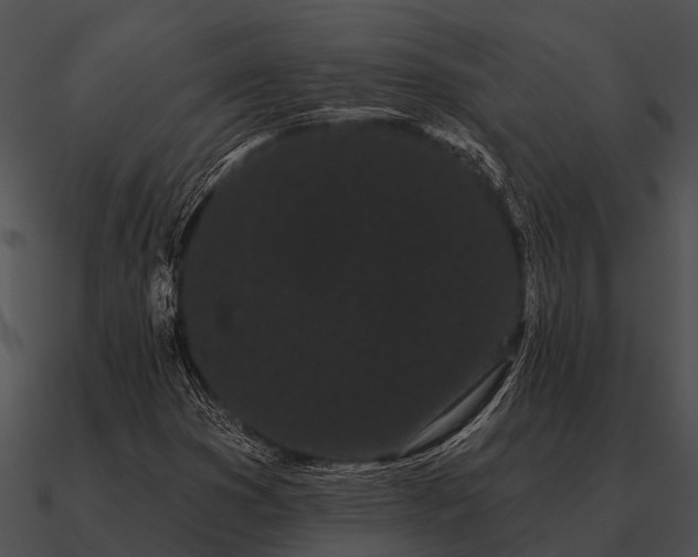 X0000090711353200708031425