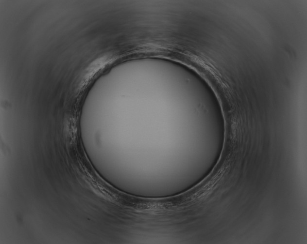 X0000090711355200708031425