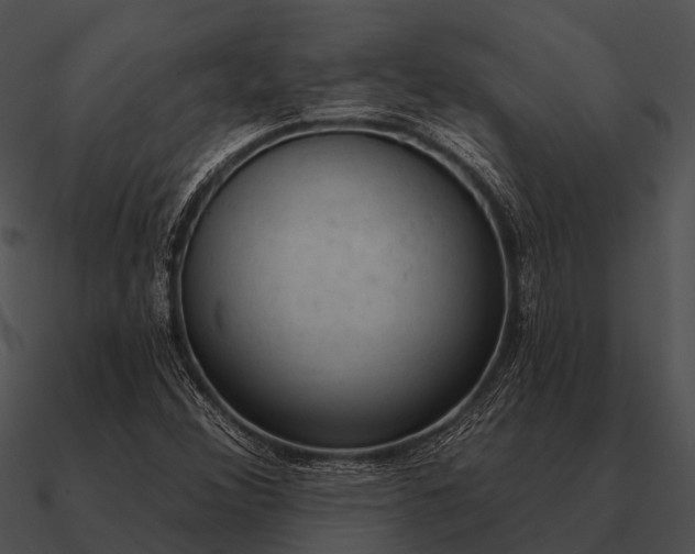 X0000090711356200708031425