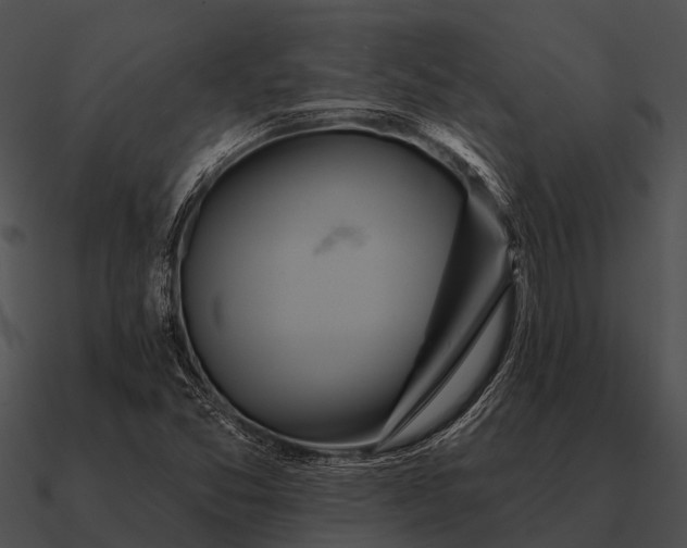 X0000090711357200708031425